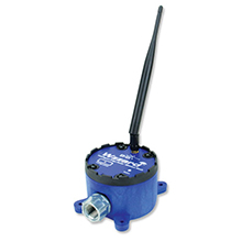 BB-WSD2CTK